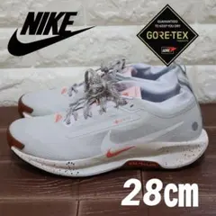 28㎝　ナイキ ペガサス トレイル 5 GORE-TEX ゴアテックス　NIKEのサムネイル