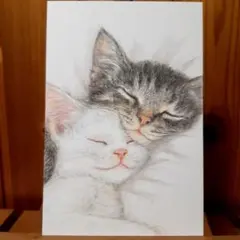 Item thumbnail for item 082c4575-11c2-4718-8cad-4840cba7cf6e