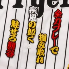 Item thumbnail for item 76be6ea4-2a74-45a6-9f45-28b648d5f212