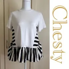 ボーダーストライプサテン切り替え力 ットソー　Chesty チェスティのサムネイル