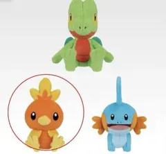 ポケモン 30周年 一番くじ アチャモのサムネイル