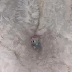 サンリオGRWM キティ