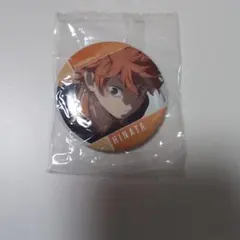 Item thumbnail for item 140a31f4-52ee-4113-8c17-943a506cd375