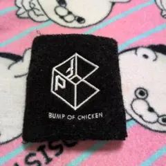 2026年最新】bump グッズの人気アイテム - メルカリ