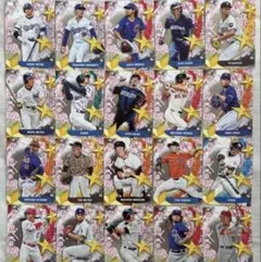 野球カード　WBC トレーディングカード　希少品　コレクション