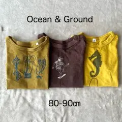 Ocean & Ground Tシャツ 3枚セット 80-90cmのサムネイル