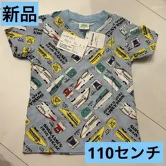 Item thumbnail for item 17b21175-0db0-4102-9f28-2e814fa95cdd