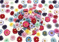 ハンドメイド　花材　ドライフラワー　マトリカリア　mixカラー 20輪+α ハンドメイド 花材 ドライフラワー マトリカリア mixカラー 50輪＋α ③