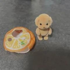 どきどきコレクション 赤ちゃんフルーツパーティー2　トイプードルの赤ちゃん