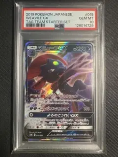 マニューラGX（RR）015 スターターセット TAG TEAM GX | Poketrage