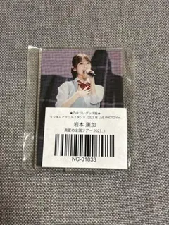 乃木坂46 岩本蓮加　アクリルスタンド 乃木坂46 のぎBOX 岩本蓮加 アクスタ アクリルスタンド - メルカリ