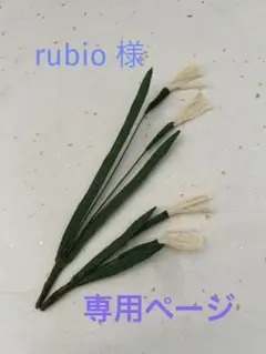 オーダー品