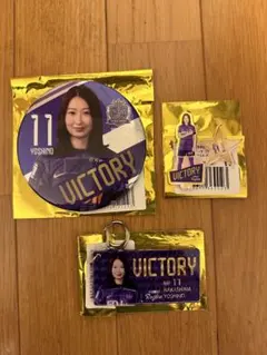 サンフレッチェ広島レジーナ　佐山桃子　オンサイトSRカード サンフレッチェ広島レジーナ 佐山桃子 オンサイトSRカードの通販はau