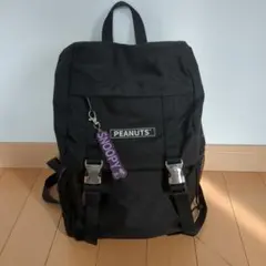 Item thumbnail for item 72e6f0b7-aa33-46e6-9003-55290f44806f