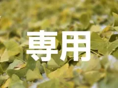 東京エイリアンズグッズ 専用購入