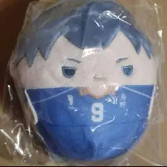 くじメイト ぬいくじ 影山飛雄 D賞