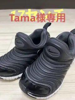 NIKE ダイナモ　20 2足 キッズスニーカー 20 ダイナモフリー ナイキ」の人気商品一覧