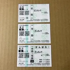 マイネルホウオウ メイクデビュー（新馬戦） 現地的中単勝馬券 ☆NHK
