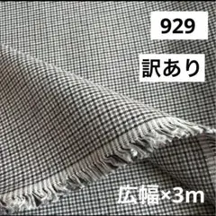 Item thumbnail for item f5e8c8aa-75a2-41ba-ac13-809c2fa1e8b1