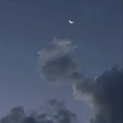 リトルマイメード　かくれんぼフィギュア