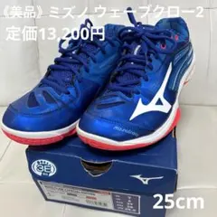 25.5cmミズノWAVE CLAW東京オリンピックモデル バドミントンシューズ