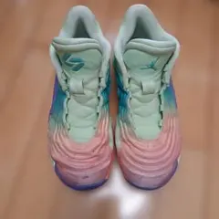 Item thumbnail for item fc3f4815-31f4-43b5-a798-fdb793d1f7b6