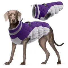 Item thumbnail for item d0f36f64-0621-4122-81d1-88d2746fd639