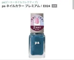 pa ネイルカラー プレミアム / E024のサムネイル