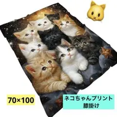 かわいい猫ちゃんプリント　薄手膝掛け　70×100