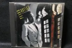 ピーボブライソン　PEABO BRYSON　キャン・ユー・ストップ・ザ・レイン