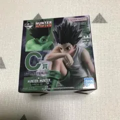 一番くじ HUNTER × HUNTER C賞 ゴン