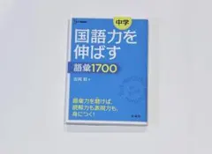 Item thumbnail for item 6c8b891a-e491-470e-bcfa-9a585b28f610