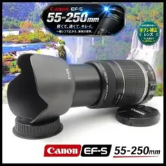 望遠レンズ【手ブレ補正】Canon EF-S 55-250mmのサムネイル