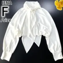 IENA イエナ ボウタイブラウス ベージュ 長袖 綿 - メルカリ