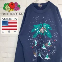 【MADE IN USA】フルーツオブザルーム　ビッグプリント入りスウェット