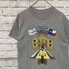 ユーロ古着ヴィンテージTシャツ！グレー半袖M 0625のサムネイル