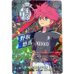 イナズマイレブン スリーブ 円堂 豪炎寺 風丸 イナイレ - メルカリ