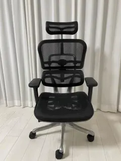 エルゴヒューマン