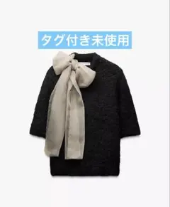 ZARA 新品　オーガンザニットトップス