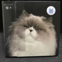 カネコアヤノ 燦々 レンタル落ちcd