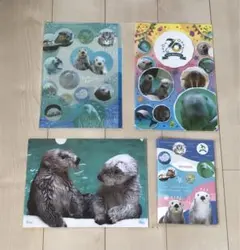 2026年最新】鳥羽水族館 70周年の人気アイテム - メルカリ