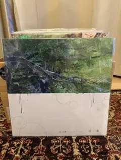 秦基博 言ノ葉 アナログレコード LP