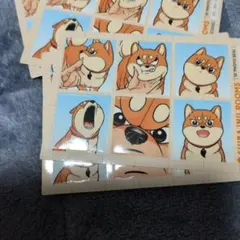 Item thumbnail for item 234436e0-8e0e-4226-9535-175db7895d17