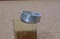 Item thumbnail for item 33585045-6e86-4f08-9fd1-ac10680c7907