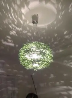 Item thumbnail for item 2799c6bc-ca8c-4d20-9d51-39829eca213b