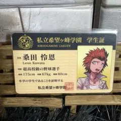 ✨ ダンガンロンパ ✨ ナンジャタウン 学生証カード 未開封 桑田怜恩
