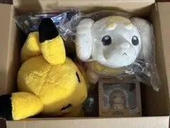 ポケモンセンター ピカピカボックス2026