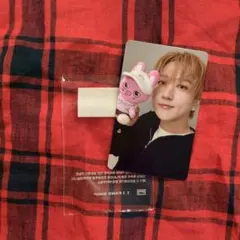 StrayKids スキズ SKZOO ZOOTOPIA チャンビン トレカ