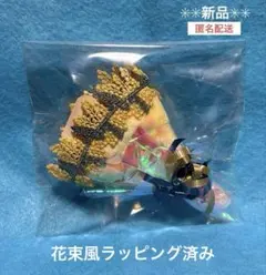 Item thumbnail for item 447aa314-6b6e-425d-abeb-fce8dcf0fbf4