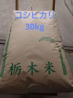 2026年最新】水稲うるち玄米の人気アイテム - メルカリ